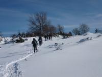 Con le ciaspole nel Parco della Majella  tutti i sabato e domenica