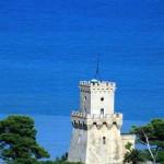 Tutti i Giorni - Minicorso di barca a vela alla Torre di Cerrano 